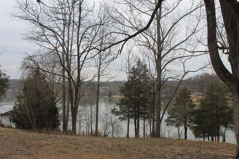 1153 Carters Island Rd, Goodview, VA 24095 photo 3
