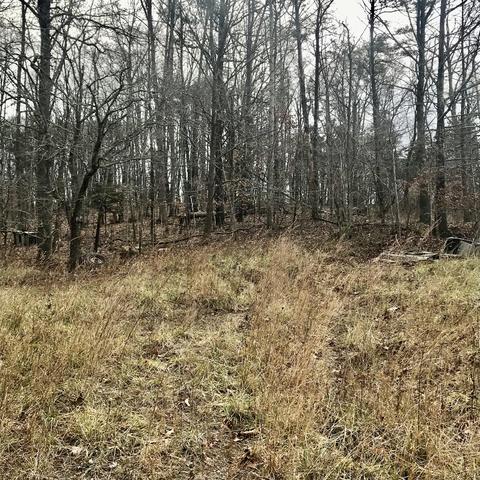 408 Ruby Rd, Fincastle, VA 24090 photo 2