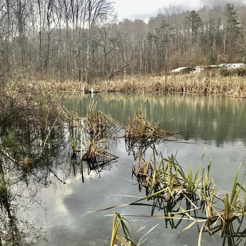 408 Ruby Rd, Fincastle, VA 24090 photo 4