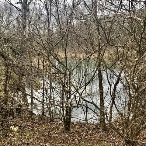 408 Ruby Rd, Fincastle, VA 24090 photo 5