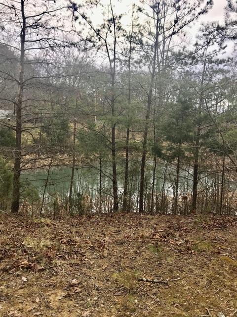 408 Ruby Rd, Fincastle, VA 24090 photo 6