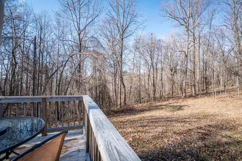 302 Willowridge Dr, Thaxton, VA 24174 photo 31