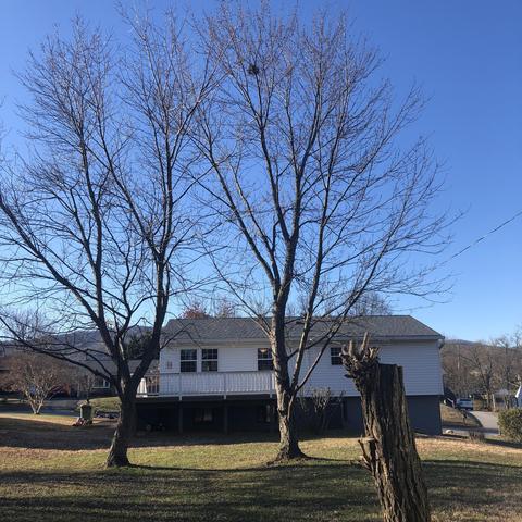 715 Pyrtle Dr, Salem, VA 24153 photo 5