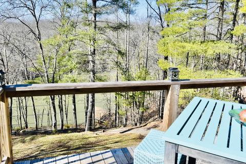 107 Bluewater Ct, Goodview, VA 24095 photo 49