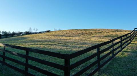 9360 Forest Rd, Goode, VA 24556 photo 35