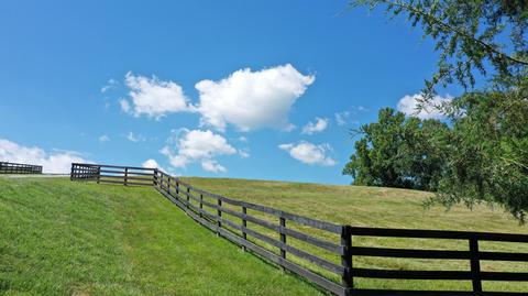 9360 Forest Rd, Goode, VA 24556 photo 43