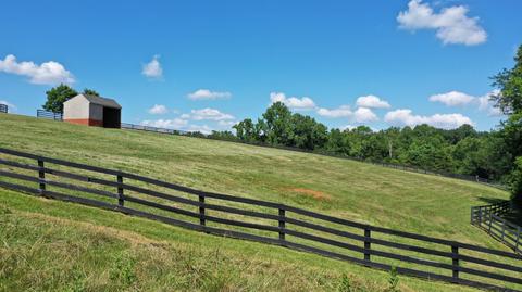 9360 Forest Rd, Goode, VA 24556 photo 46