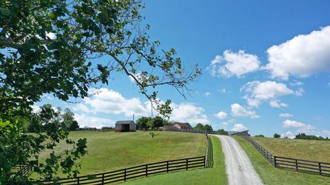 9360 Forest Rd, Goode, VA 24556 photo 8
