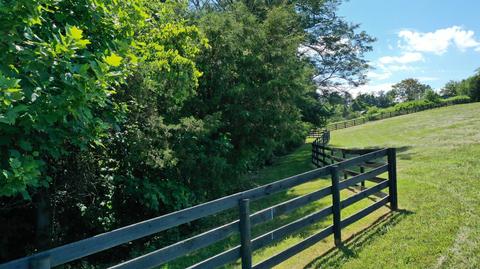 9360 Forest Rd, Goode, VA 24556 photo 44