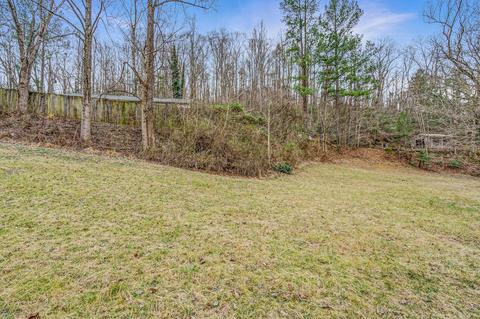 6071 Goodview Rd, Goodview, VA 24095 photo 39