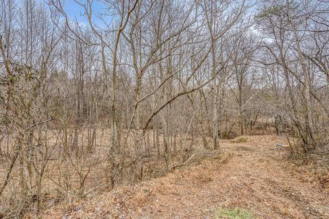 6071 Goodview Rd, Goodview, VA 24095 photo 44