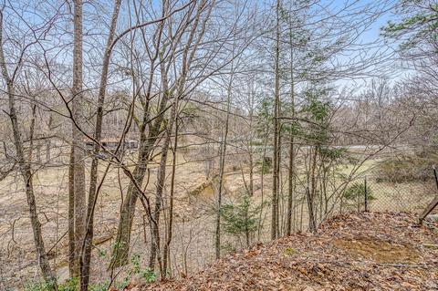 6071 Goodview Rd, Goodview, VA 24095 photo 34