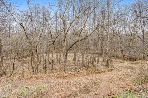 6071 Goodview Rd, Goodview, VA 24095 photo 43