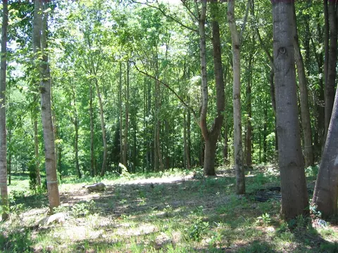 lot2 Leeward Dr, Moneta, VA 24121
