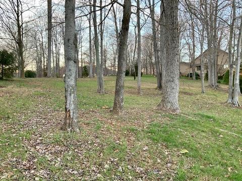 53 Bay View Cir, Penhook, VA 24137 photo 25