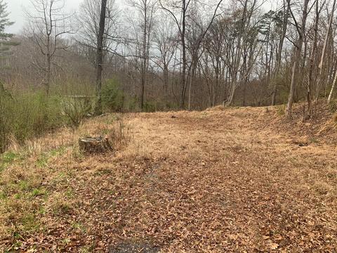 141 Afton Ln, Goodview, VA 24095 photo 1