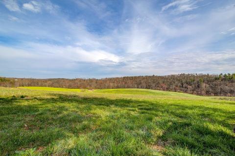 637 Old Ferrum Rd, Ferrum, VA 24088 photo 43