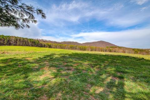 637 Old Ferrum Rd, Ferrum, VA 24088 photo 5