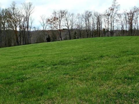 636 Beards Creek Rd, Ferrum, VA 24088 photo 38