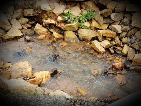 636 Beards Creek Rd, Ferrum, VA 24088 photo 5