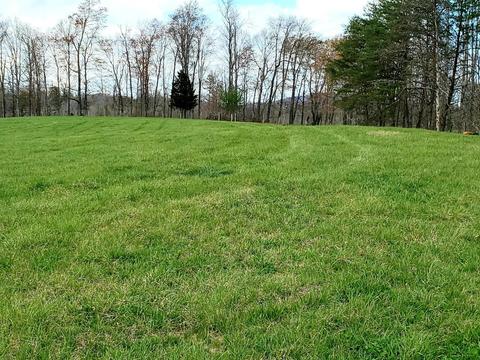 636 Beards Creek Rd, Ferrum, VA 24088 photo 49