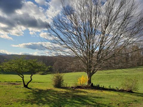 636 Beards Creek Rd, Ferrum, VA 24088 photo 4