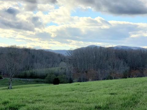 636 Beards Creek Rd, Ferrum, VA 24088 photo 3