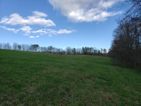 636 Beards Creek Rd, Ferrum, VA 24088 photo 40