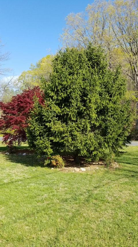 241 Arthur Cir, Ferrum, VA 24088 photo 60