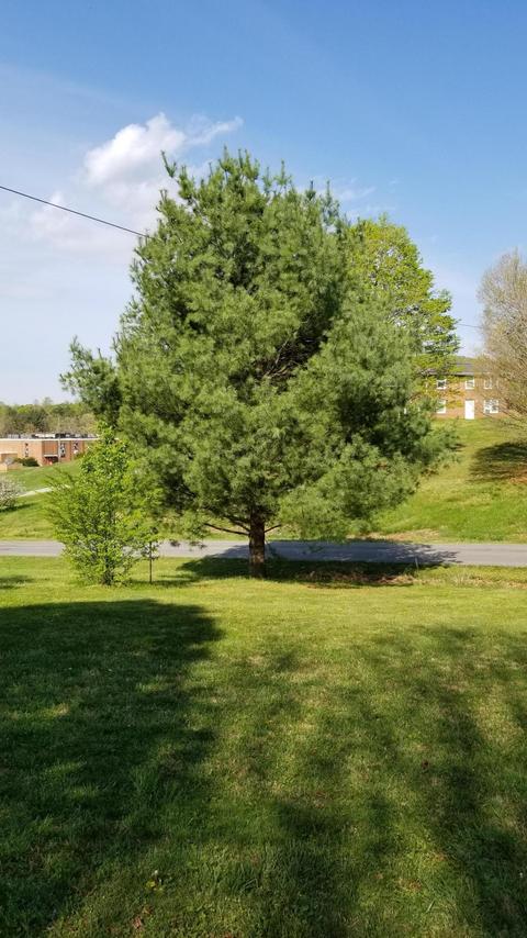 241 Arthur Cir, Ferrum, VA 24088 photo 61
