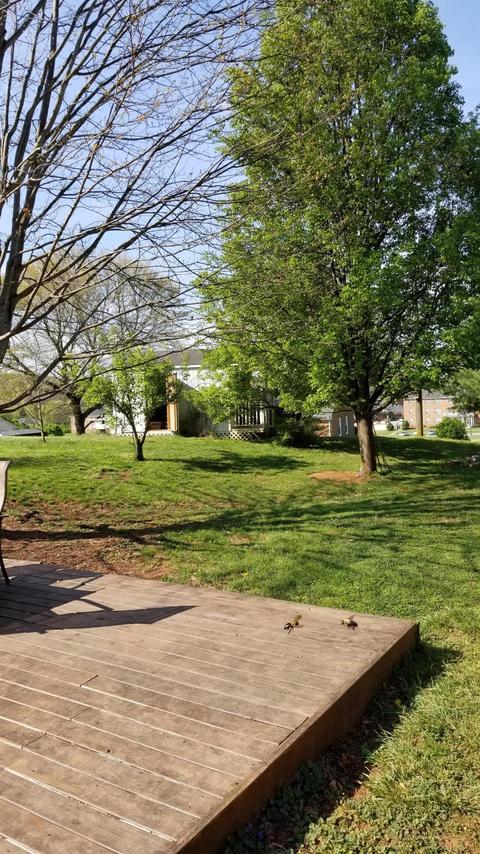 241 Arthur Cir, Ferrum, VA 24088 photo 59