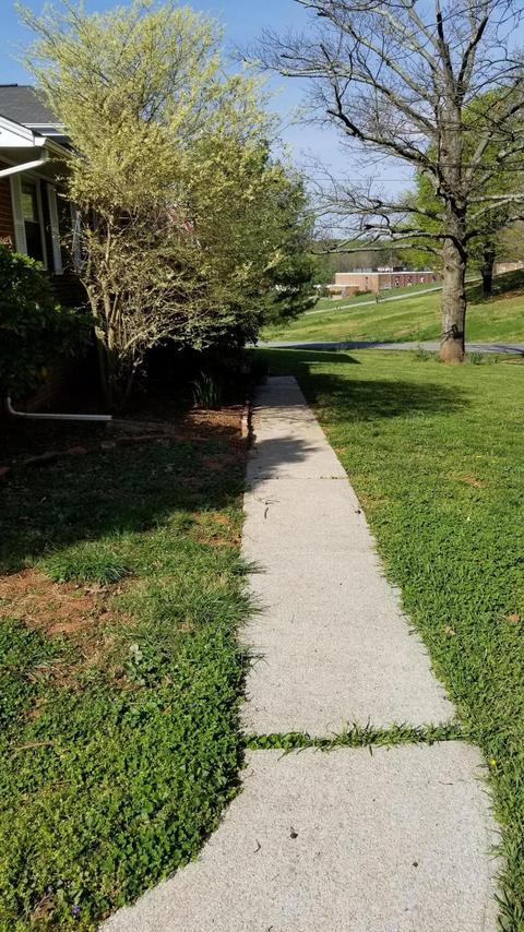 241 Arthur Cir, Ferrum, VA 24088 photo 30