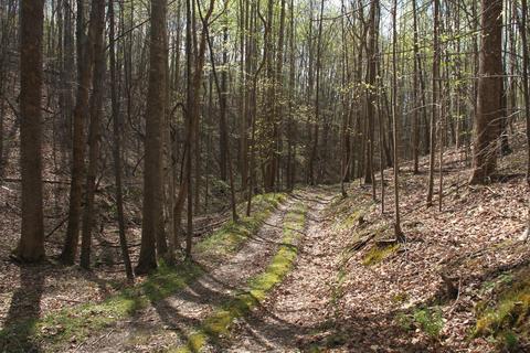 3254 Johnson School Rd, Thaxton, VA 24174 photo 12