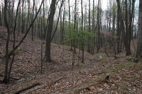 3254 Johnson School Rd, Thaxton, VA 24174 photo 33
