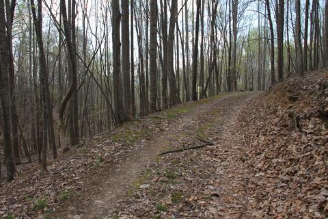 3254 Johnson School Rd, Thaxton, VA 24174 photo 8