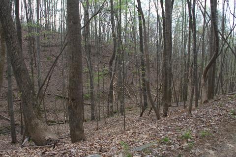 3254 Johnson School Rd, Thaxton, VA 24174 photo 9