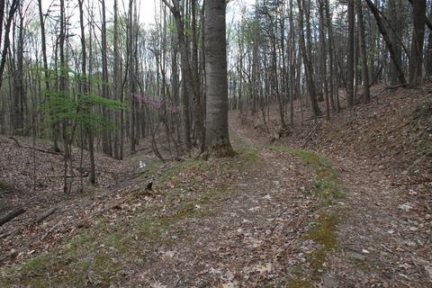 3254 Johnson School Rd, Thaxton, VA 24174 photo 5