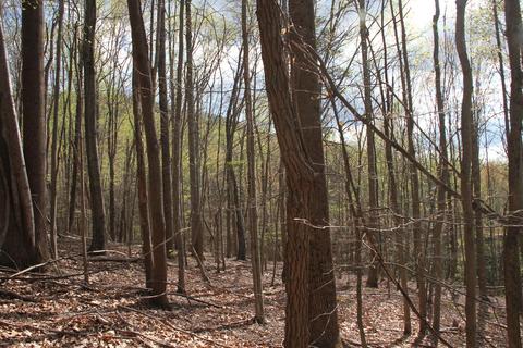 3254 Johnson School Rd, Thaxton, VA 24174 photo 35