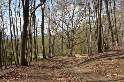 3254 Johnson School Rd, Thaxton, VA 24174 photo 3