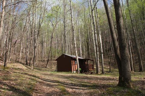 3254 Johnson School Rd, Thaxton, VA 24174 photo 14