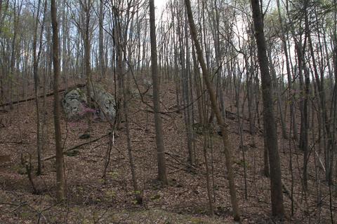 3254 Johnson School Rd, Thaxton, VA 24174 photo 32
