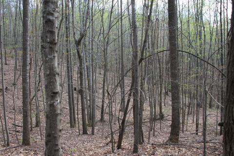 3254 Johnson School Rd, Thaxton, VA 24174 photo 34