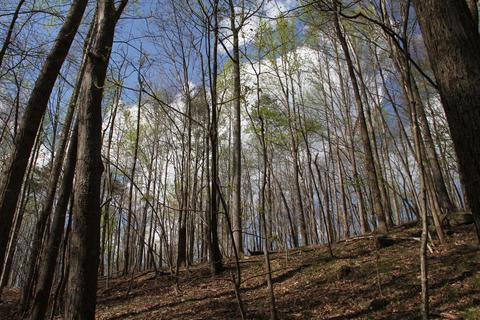 3254 Johnson School Rd, Thaxton, VA 24174 photo 11