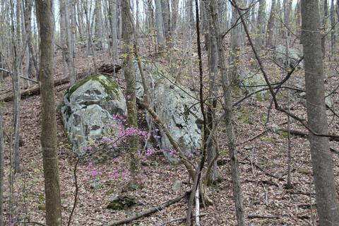 3254 Johnson School Rd, Thaxton, VA 24174 photo 31