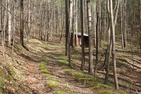 3254 Johnson School Rd, Thaxton, VA 24174 photo 13