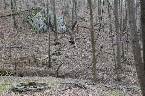3254 Johnson School Rd, Thaxton, VA 24174 photo 28