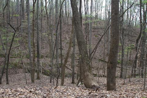 3254 Johnson School Rd, Thaxton, VA 24174 photo 10