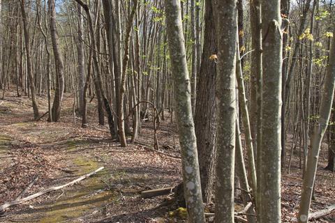 3254 Johnson School Rd, Thaxton, VA 24174 photo 37