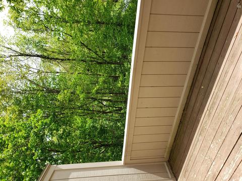 7341 Maple Ct, Roanoke, VA 24018 photo 16