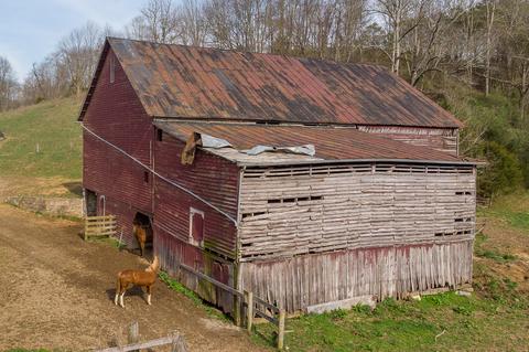 2035 Dutch Hollow Rd, Raphine, VA 24472 photo 46